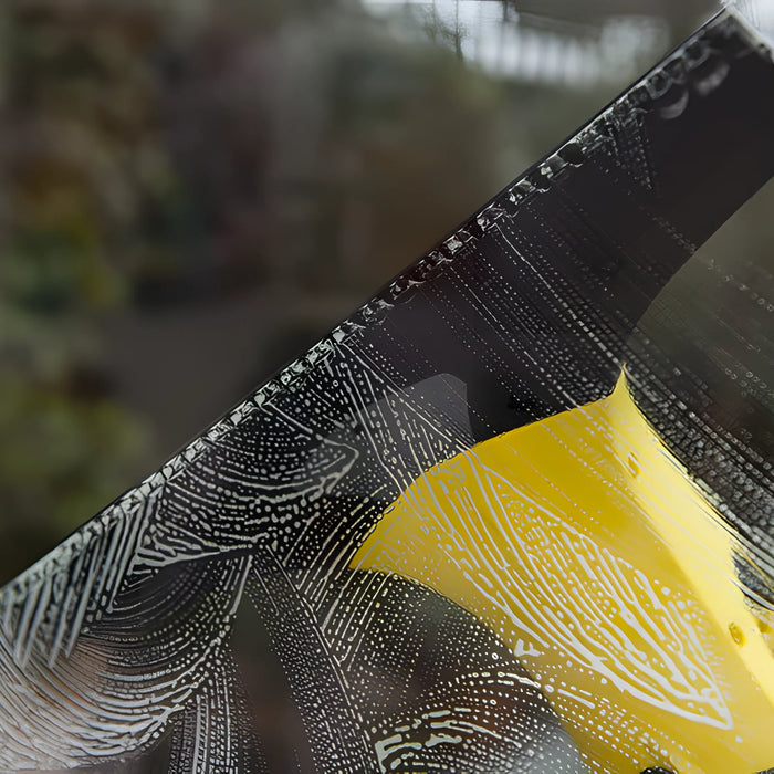 Window Vac at Parkem. 