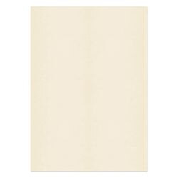 PREMIUM Business Photo Paper 120 gsm Beige Pack of 250