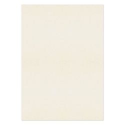 PREMIUM Business Photo Paper 120 gsm Cream Pack of 250