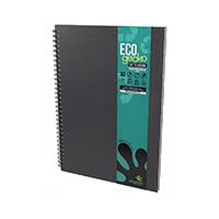 Eco Gecko W/Bnd Skchbook A3 Por 40Sh