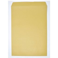 Bong Envelopes Plain C3 457 (W) x 10 (H) mm Brown 115 gsm Pack of 125