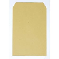 Bong Envelopes Plain C5 165 x 237 mm Self Seal Brown 80 gsm Pack of 500