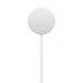 Apple Magnetic - Smart watch charging cable - 24 pin USB-C male - 1 m
