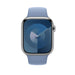 Apple - Band for smart watch - 45 mm - M/L (fits wrists 160-210 mm) - winter blue