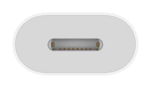 Apple - Lightning adapter - 24 pin USB-C male to Lightning female