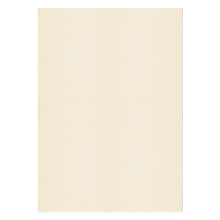 PREMIUM Business Photo Paper 120 gsm Beige Pack of 250