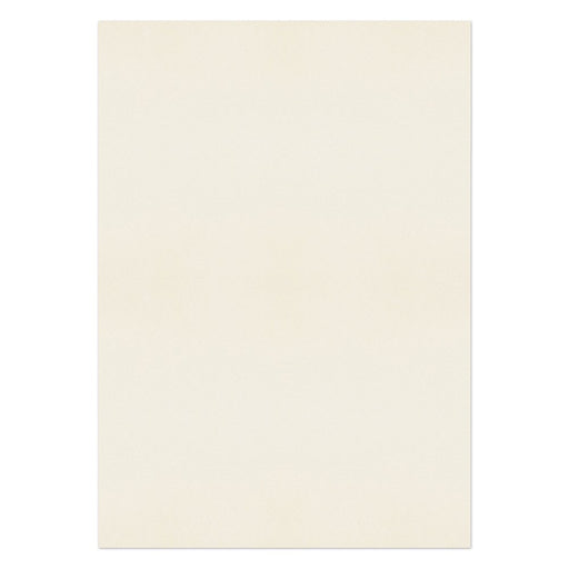 PREMIUM Business Photo Paper 120 gsm Cream Pack of 250