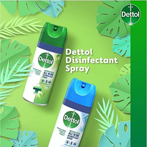 Dettol All-In-One Disinfectant 500Ml