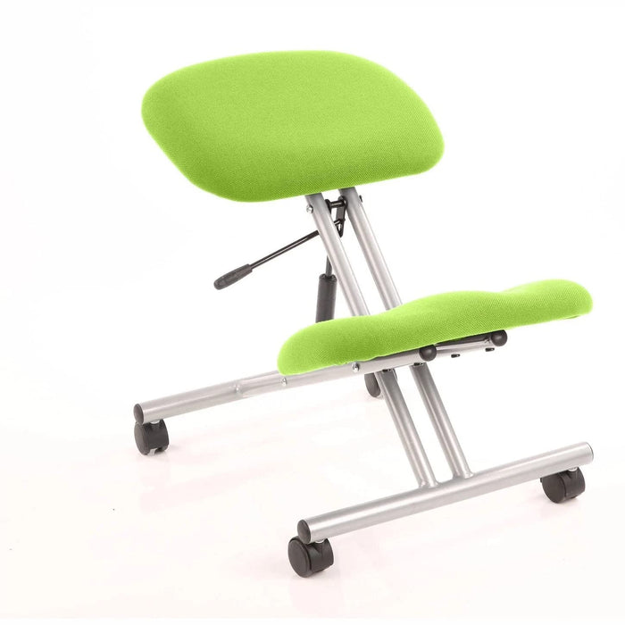 Dynamic Basic Tilt Task Operator Chair Without Arms Kneeler Myrrh Green Back, Silver Frame Without Headrest Medium Back