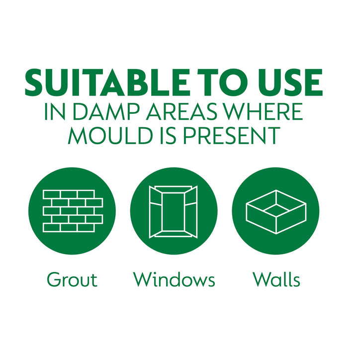 Dettol Mould Mildew Remover 750Ml