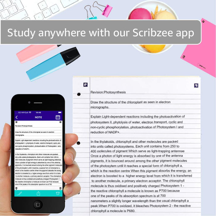 OXFORD Refill Pads Glued A4 Ruled Cardboard Assorted 300 Pages Pack of 3