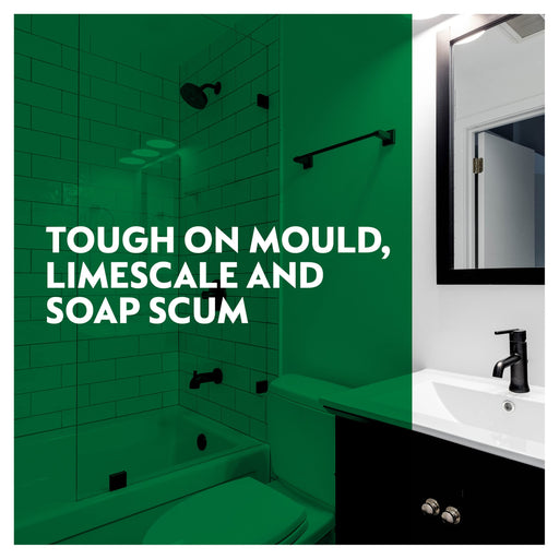 Dettol Mould Mildew Remover 750Ml