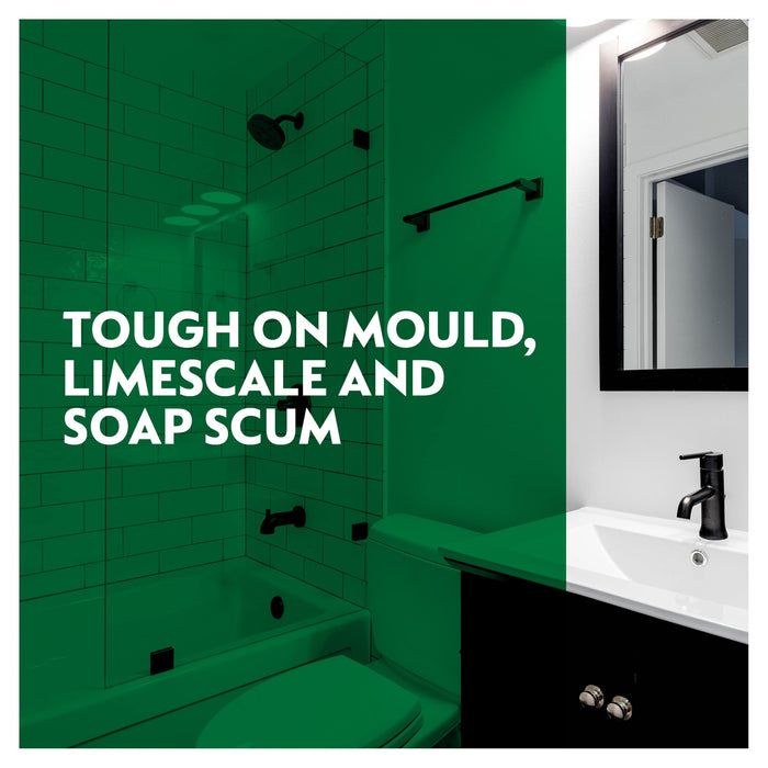 Dettol Mould Mildew Remover 750Ml