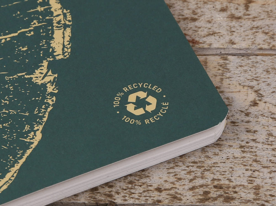 Clairefontaine Forever Recycled A5 Stapled Notebooks 120 Pages 90gsm Feint Ruled Paper Assorted Colours (Pack 5) - 68486C