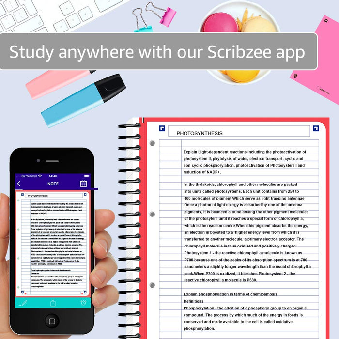 OXFORD Revision Book 400140013 A4+ Ruled Twin Wire Card Assorted Perforated 80 Pages Pack of 3