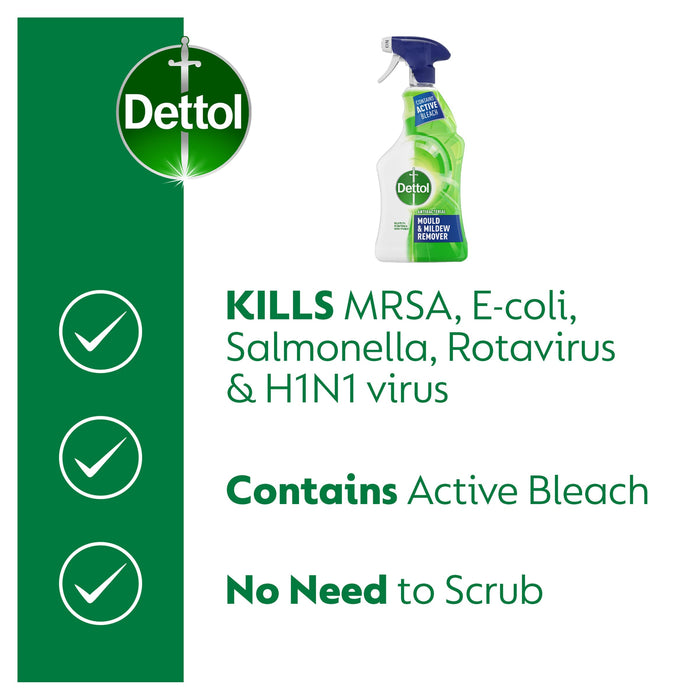 Dettol Mould Mildew Remover 750Ml