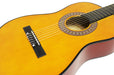 PDT Martin Smith Classical Guitar - Nat