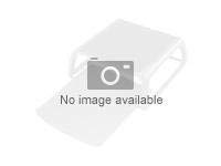 Epson RETRACTABLE OUTPUT TRAY - Media tray - for WorkForce Pro RIPS WF-C879, WF-C869, WF-C878