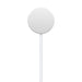 Apple Magnetic - Smart watch charging cable - USB-C male - 1 m - for Watch