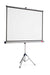 Best Value Nobo 4:3 Tripod Projection Screen 1325x1750mm