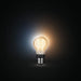 Philips Hue White ambiance - LED filament light bulb - shape: A60 - clear finish - E27 - 7 W (equivalent 40 W) - class G - warm to cool white light - 2200-4500 K