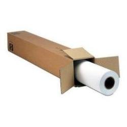 Epson Traditional Photo Paper - Roll (43.2 cm x 15 m) - 300 g/m - photo paper - for SureColor P5000, P800, SC-P10000, P20000, P5000, P7500, P900, P9500