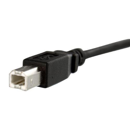 StarTech 1 ft Panel Mount USB B to B Cable