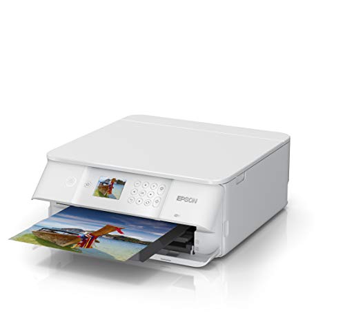 Epson Expression Premium XP-6105 - Multifunction printer - colour - ink-jet - A4/Legal (media) - up to 15.8 ppm (printing) - 100 sheets - USB, USB host, Wi-Fi - white