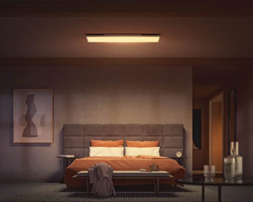 Philips Hue White and Color Ambiance Surimu - Ceiling light panel - LED - 1200 x 300 mm - 60 W