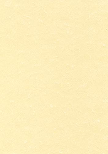 Best Value DECAdry Letterhead Presentation Paper Everyday 95gsm A4 Champagne Ref DPPCL1601 [100 Sheets]