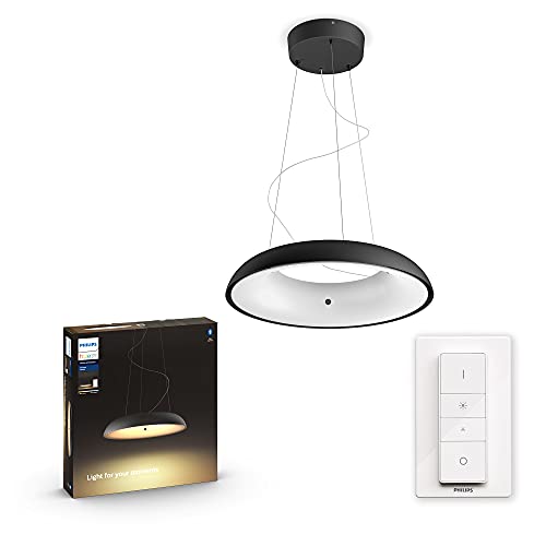 Philips Hue White ambiance Amaze - Pendant lamp - LED - 25 W (equivalent 204 W) - class F - warm to cool white light - 2200-6500 K - black