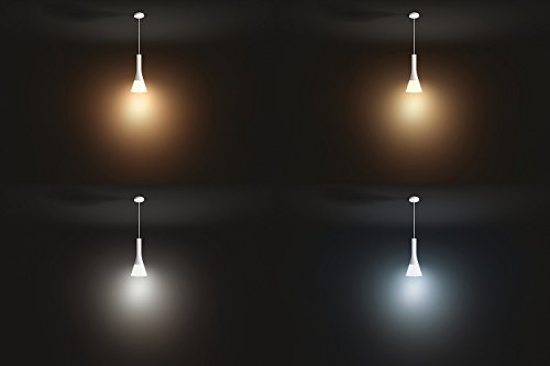 Philips Hue White ambiance Explore - Pendant lamp - LED light bulb - E27 - 6 W (equivalent 60 W) - class F - daylight to warm white light - 2200-6500 K - white