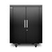 APC NetShelter CX - Rack - black - 18U - 19"