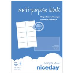 Best Value Niceday Multifunctional Labels 105 x 57mm 10 Labels Per Sheet 100 Sheets Per Box