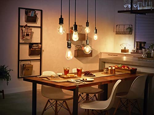 Philips Hue White ambiance - LED filament light bulb - shape: ST72 - clear finish - E27 - 7 W (equivalent 40 W) - class G - warm to cool white light - 2200-4500 K