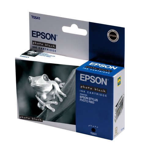 Epson Ink T0541 Photo Black