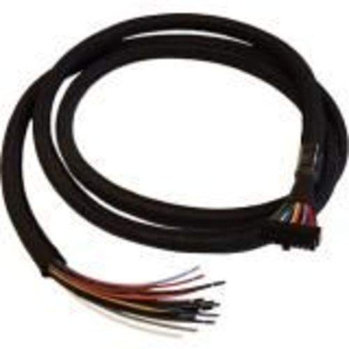 Cradlepoint - GPIO cable - 20 pin dual row Molex to bare wire - 1.98 m - for COR IBR1700-1200M, IBR1700-1200M-B, IBR1700-600M