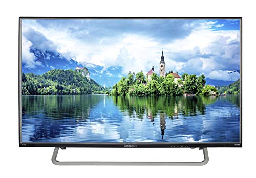 Best Value HANNspree HL407UPB 40-Inch Full HD HDMI Media Player Monitor - Black