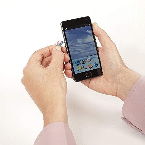 SanDisk Ultra - Flash memory card (microSDHC to SD adapter included) - 32 GB - Class 10 - microSDHC UHS-I