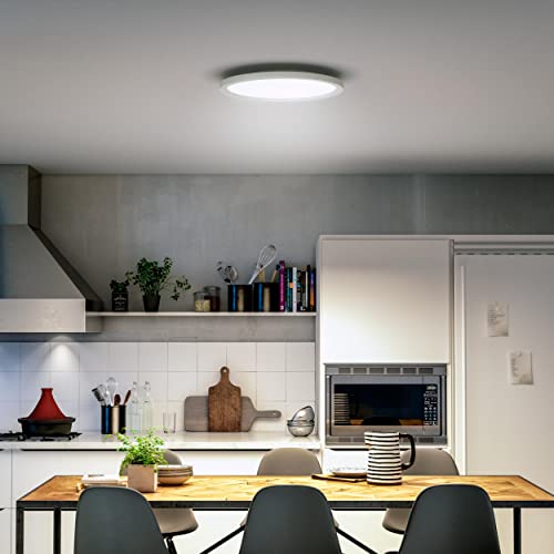 Philips Hue White ambiance Aurelle - Ceiling light panel - LED - 24.5 W - warm to cool white light - 2200-6500 K - round - white