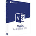 Microsoft Visio Professional 2019 - Box pack - 1 PC - medialess - Win - English