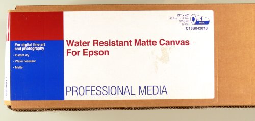 Epson - Matte - Roll (43.2 cm x 12.2 m) 1 roll(s) canvas paper - for SureColor P5000, P800, SC-P10000, P20000, P5000, P7500, P900, P9500