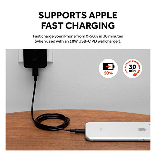 USB-C to Lightning Cable 4FT Black
