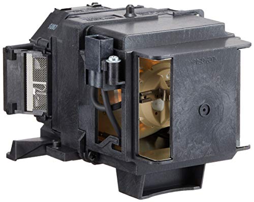 Epson ELPLP73 - Projector lamp - UHE - 340 Watt - 2500 hour(s) (standard mode) / 3500 hour(s) (economic mode) (pack of 2) - for Epson EB-Z10000, Z10005, Z8150, Z8350, Z8355, Z8450, Z8455, PowerLite Pro Z8255, Pro Z8350