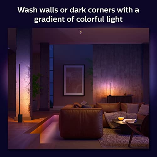 Philips Hue White and Color Ambiance Gradient Signe - Floor lamp - LED - 29 W - class G - 16 million colours/warm to cool white light - 2000-6500 K - black