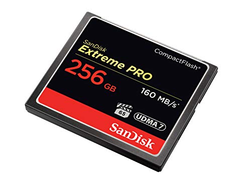 SanDisk Extreme Pro - Flash memory card - 256 GB - 933x/1067x - CompactFlash