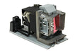 Best Value Optoma Lamp Module for HD50/HD161X Projectors