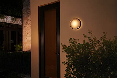 Philips Hue White and Color Ambiance Daylo - Wall lamp - LED - 15 W (equivalent 80 W) - 16 million colours - 2000-6500 K - inox