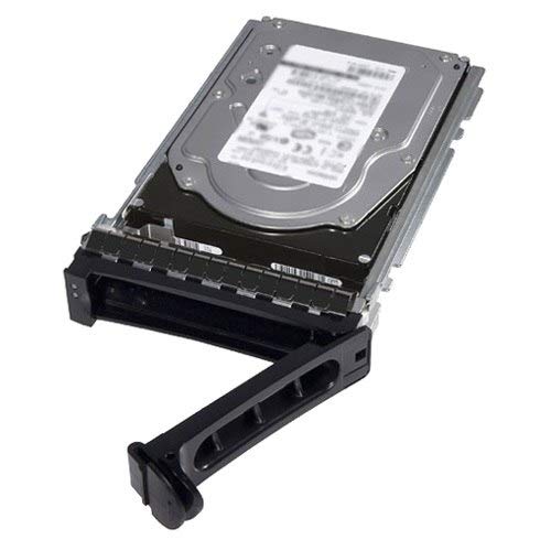 Dell - Customer Kit - hard drive - 12 TB - hot-swap - 3.5" - SAS 12Gb/s - NL - 7200 rpm - for PowerEdge C6420, R240, R340, R440, R540, R640, R6415, R740, R740xd, R740xd2, R7415, R7425