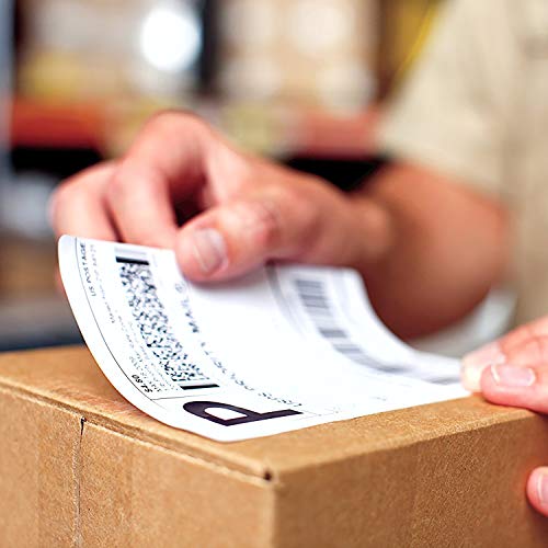 Shipping labels - 104 x 159 mm - 220 label(s) ( 1 roll(s) x 220 ) - for DYMO LabelWriter - S0904980